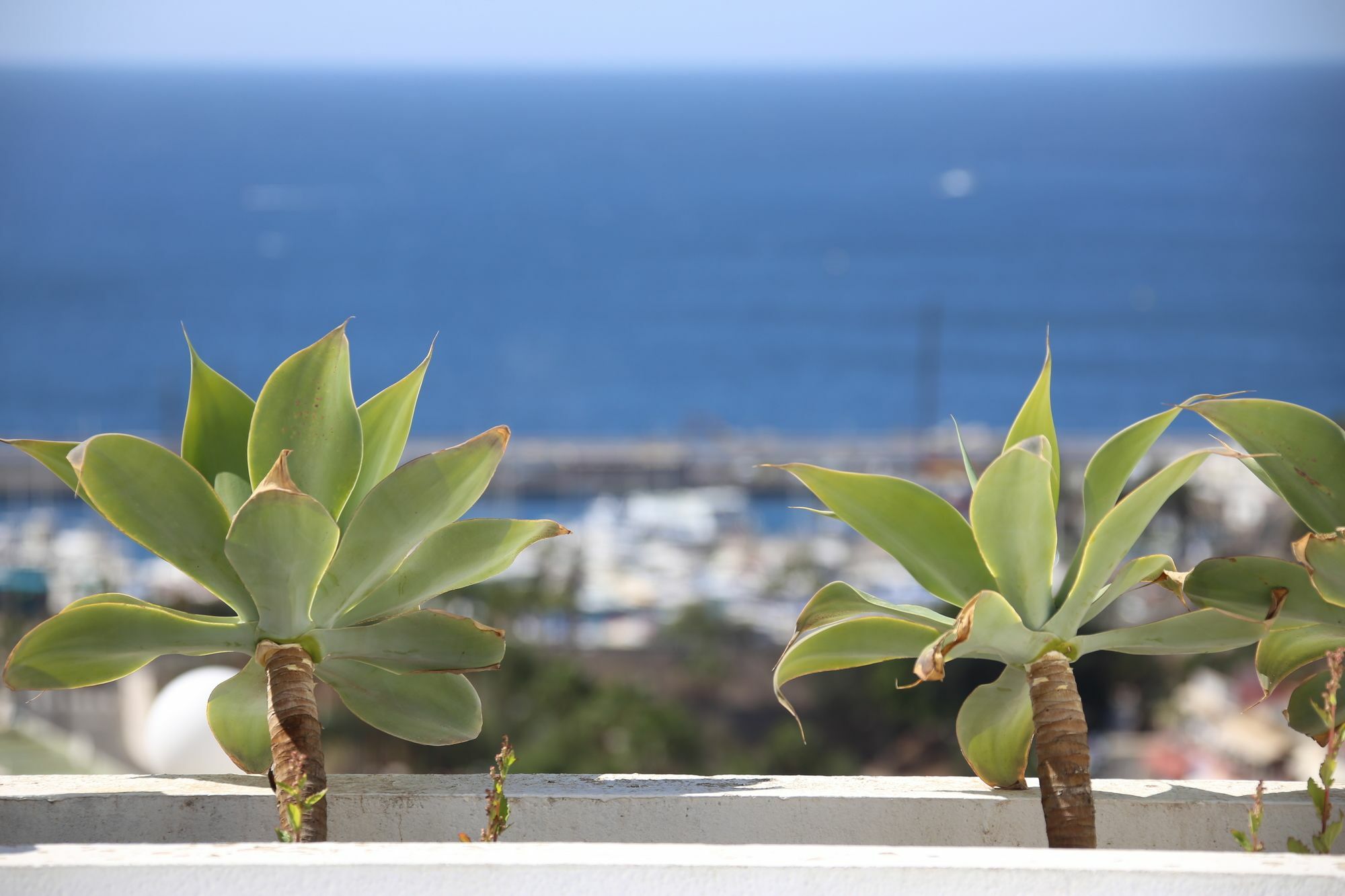 Apartamentos Halley 푸에르토리코 외부 사진